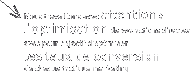 Nous travaillons avec attention � l optimisation de vos actions directes
