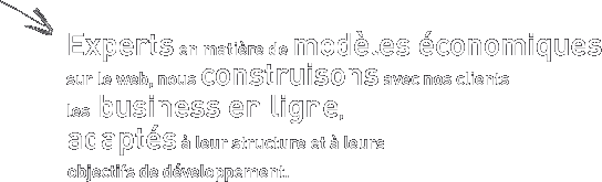 Experts en mati�re de mod�les �conomiques sur le web, nous construisons avec nos clients les business en ligne, adapt�s � leur structure et � leur objectifs de d�veloppement